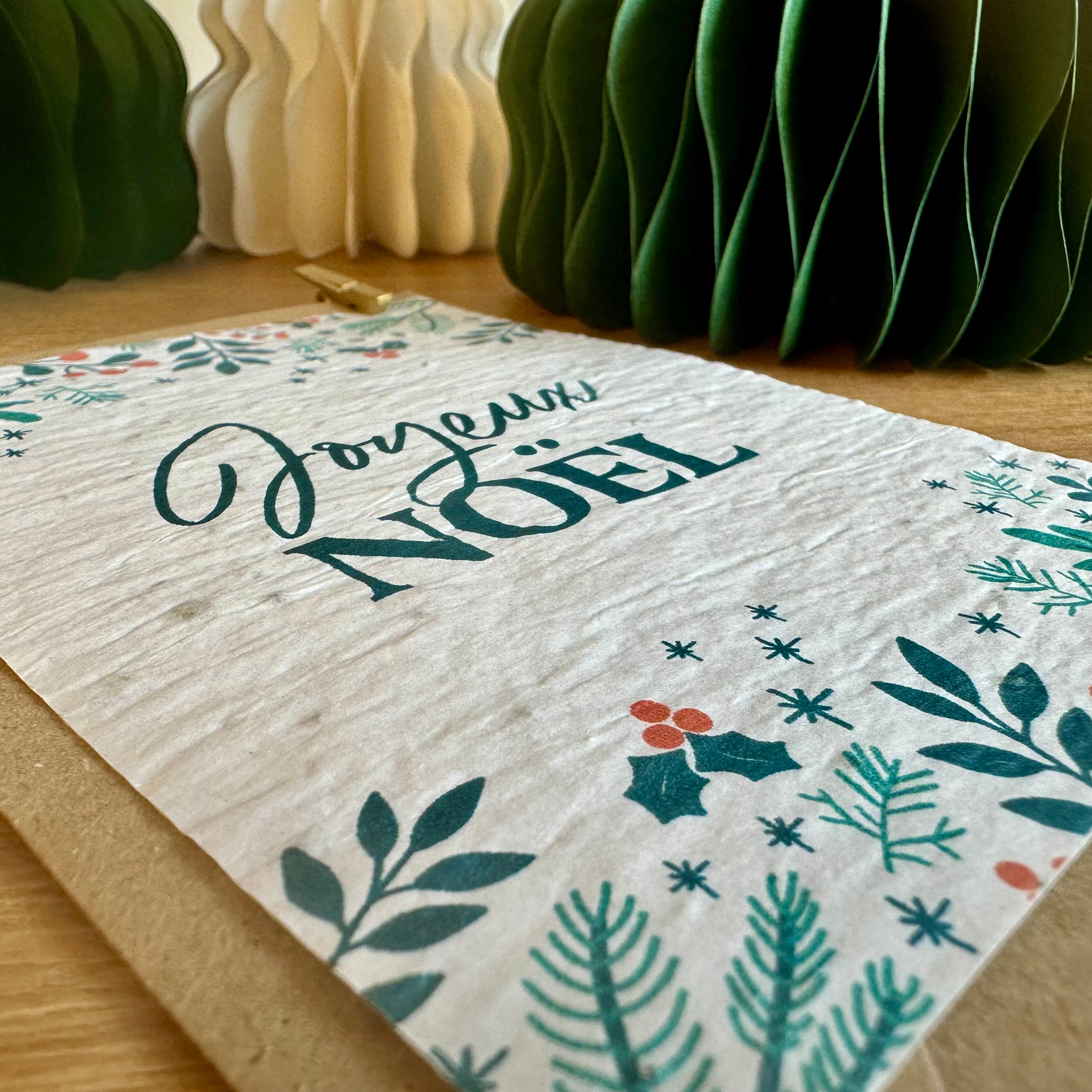 Texture papier ensemencé Noël graines visibles cadeau écologique